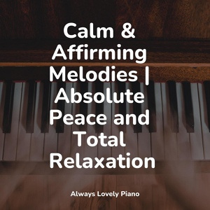 Обложка для PianoDreams, Anti Stress, Piano Love Songs - Feelings of Connection