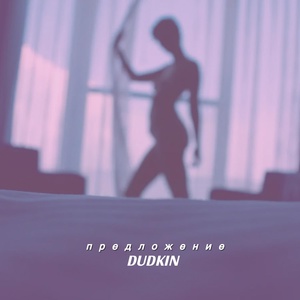 Обложка для DUDKIN - предложение