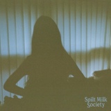 Обложка для Spilt Milk Society - She Tastes Like Summer