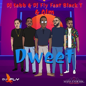 Обложка для DJ Sebb, DJ Fly feat. Black-T, QLM - Dweet