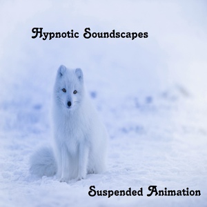 Обложка для Hypnotic Soundscapes - Fractal Voices Winter Suite