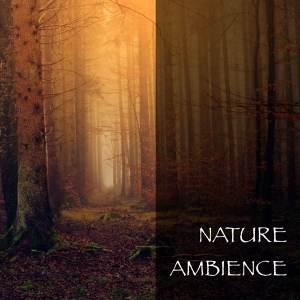 Обложка для Calming Ambience - Nature Sounds - Forest Chirps