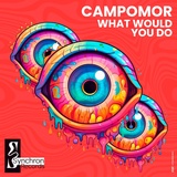 Обложка для Campomor - What Would You Do