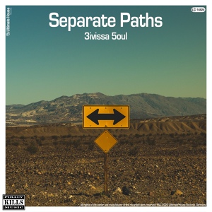 Обложка для 3ivissa 5oul - Separate Paths