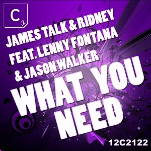 Обложка для James Talk, Ridney feat. Lenny Fontana, Jason Walker - What You Need