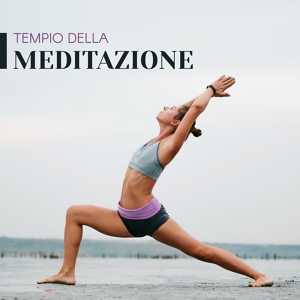 Обложка для Meditazione zen musica - Calma la Mente