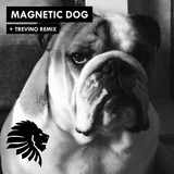 Обложка для Alan Fitzpatrick - Magnetic Dog