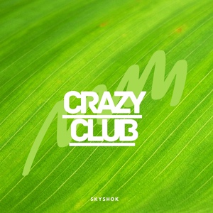 Обложка для Skyshok - Crazy Club