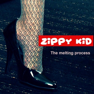 Обложка для Zippy Kid - The Melting Process