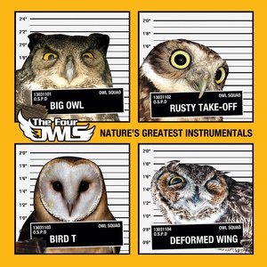 Обложка для The Four Owls - Champions