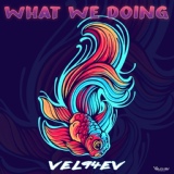 Обложка для VEL94EV - What We Doing