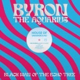 Обложка для Byron the Aquarius feat. Lailah Reich - Time to be Real