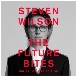Обложка для Steven Wilson - Follower