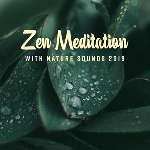 Обложка для Zen Méditation Ambiance - Blissful Sunshine