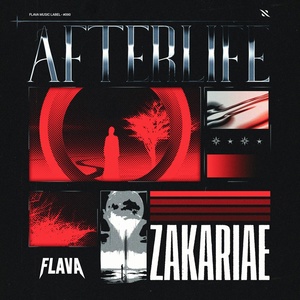 Обложка для Zakariae - Afterlife