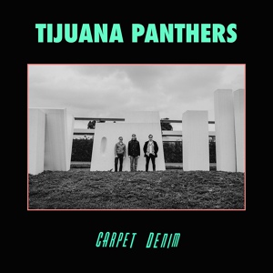 Обложка для Tijuana Panthers - Little Pamplemousse