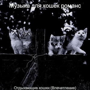 Обложка для Музыка для кошек романс - Звуки (Котята)