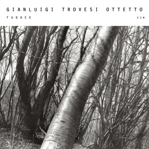 Обложка для Gianluigi Trovesi Ottetto - Siparietto IV