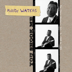 Обложка для Muddy Waters - Just A Dream (On My Mind)