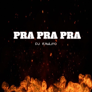 Обложка для Dj Raulito - Pra Pra Pra