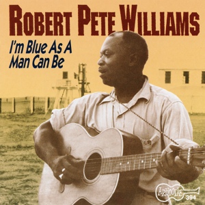 Обложка для Robert Pete Williams - Two Wings