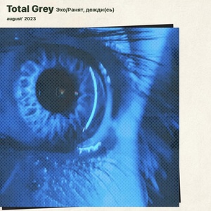 Обложка для Total Grey - Эхо