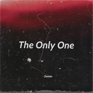 Обложка для Zanum - The Only One