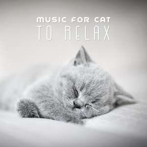 Обложка для Pet Care Club - Instrumental Music For Your Cat