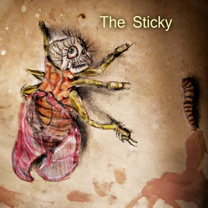 Обложка для The Sticky - Sinty