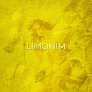 Обложка для DANAN - Limonim