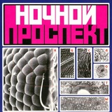 Обложка для Ночной Проспект - Остатки сомнений