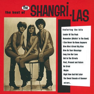 Обложка для The Shangri-Las - I'll Never Learn