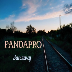 Обложка для PANDAPRO - Заплачу