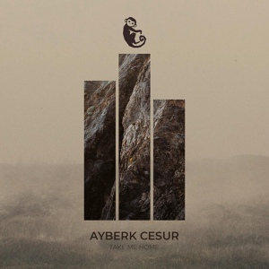 Обложка для Ayberk Cesur - Take Me Home (Original Mix)