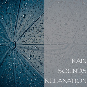 Обложка для Nature Recordings, Sleepy Times, Natural Sound Makers - Scottish Rain