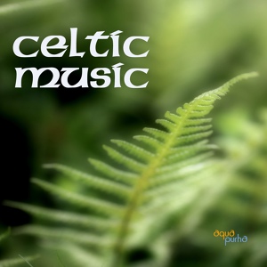 Обложка для Celtic Music Band - A Fairy's Love Song