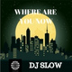 Обложка для DJ Slow - Where are you know