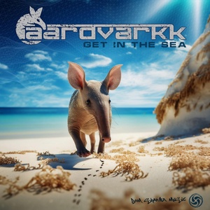 Обложка для Aardvarkk - Get In The Sea
