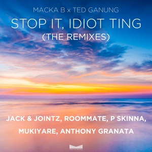 Обложка для Macka B, Ted Ganung - Stop It, Idiot Ting