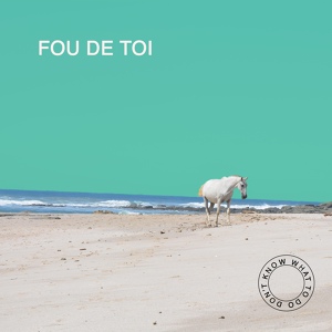 Обложка для Fou De Toi - Don't Know What to Do