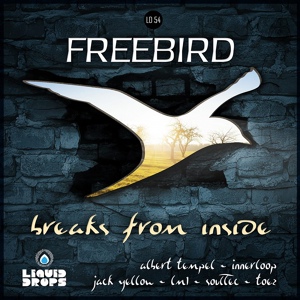 Обложка для InnerLoop, FreeBird - Low Pulse Dub