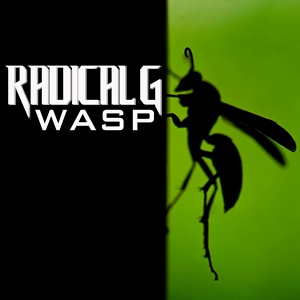 Обложка для Radical G - Wasp