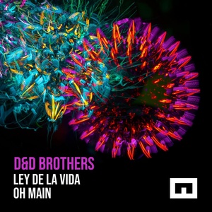 Обложка для D&D Brothers - Oh Main