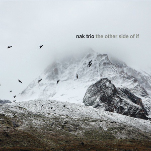 Обложка для NAK Trio - I Have Two but One Is Not Mine (feat. Jacek Kochan, Dominik