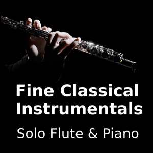 Обложка для The Classic Players, Classical Instrumentals - Di rigori armato il seno