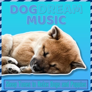 Обложка для Relax My Dog, Dog Music Dreams - Healthy Mind