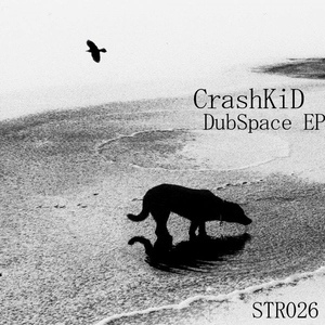 Обложка для CrashKiD - DubSpace