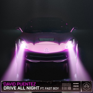 Обложка для David Puentez, FAST BOY - Drive All Night