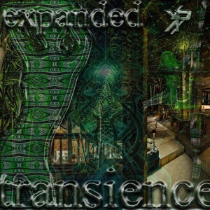 Обложка для POWEREDBYTHEMOON - Transience Expanded