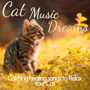 Обложка для Cat Music Dreams, RelaxMyCat, Cat Music Therapy - Touch the Sky